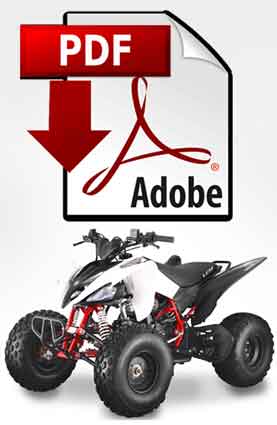 pdf